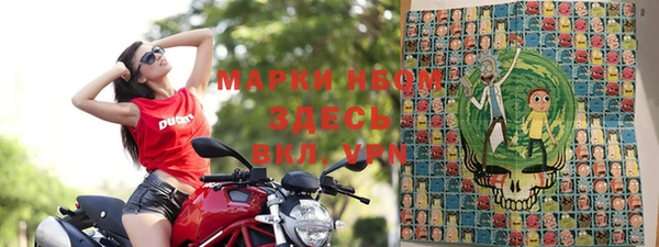крисы Алзамай