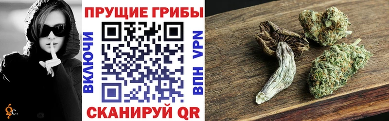 магазин    Апшеронск  Галлюциногенные грибы мухоморы 